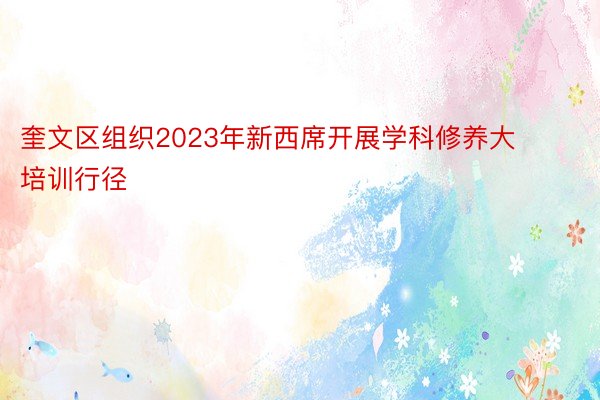 奎文区组织2023年新西席开展学科修养大培训行径